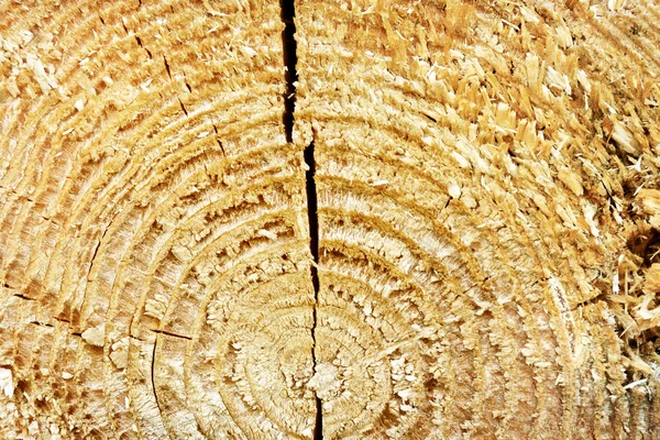 Texture of Old Wood — Stock Photo, Image