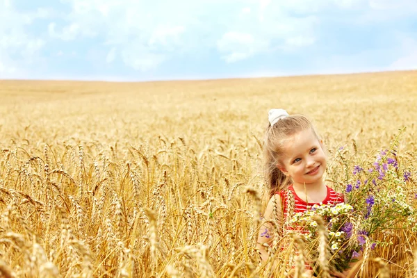 Хлопчик у пшеничному полі . — стокове фото