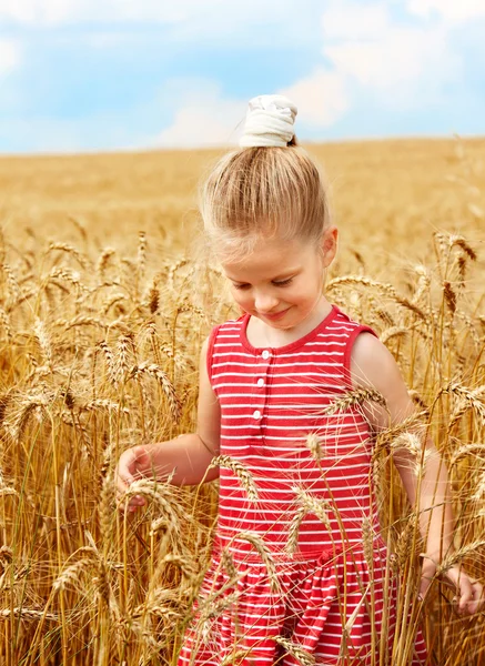 Хлопчик у пшеничному полі . — стокове фото