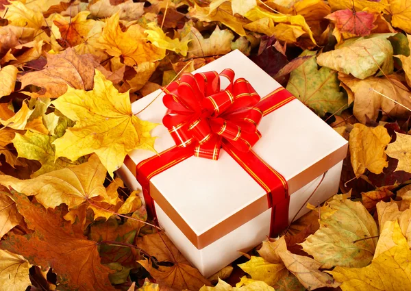 Caja de regalo en follaje de otoño . — Foto de Stock