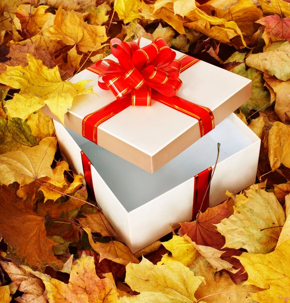 Caixa de presente em folhagem de outono . — Fotografia de Stock