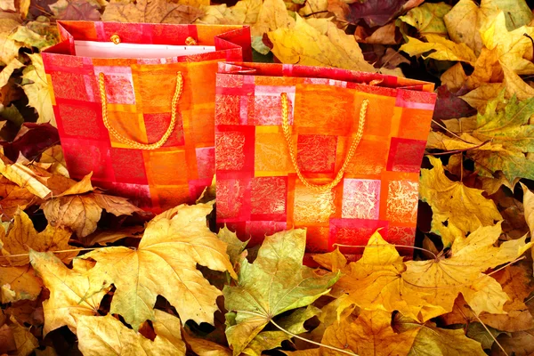 Skupina nákupní tašku v listoví pádu. — Stock fotografie