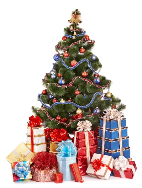 Árbol de Navidad y caja de regalo de grupo . —  Fotos de Stock