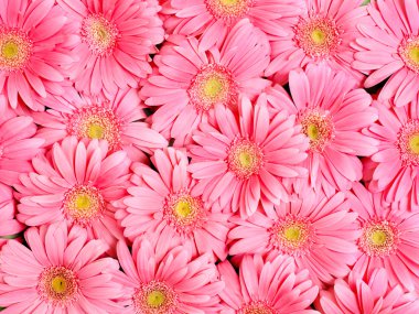 Background of flower. clipart