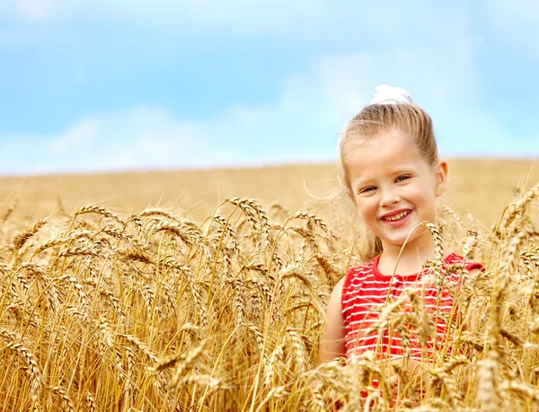 Kid in wheat field. — Stock Photo, Image