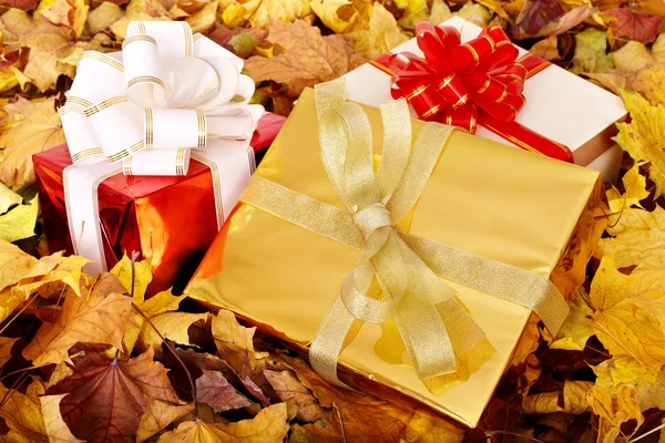 Bodegón de otoño con caja de regalo de grupo . —  Fotos de Stock