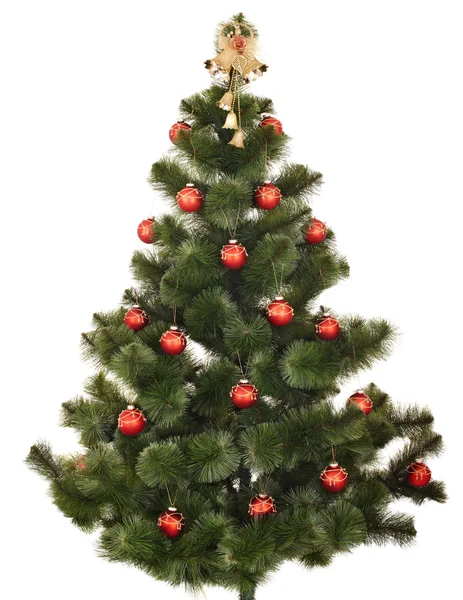 Χριστουγεννιάτικο δέντρο. — Φωτογραφία Αρχείου
