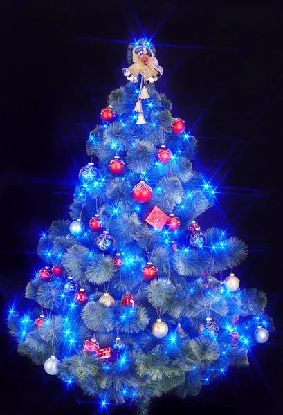 Χριστουγεννιάτικο δέντρο με φως και μπλε αστέρι. — Φωτογραφία Αρχείου