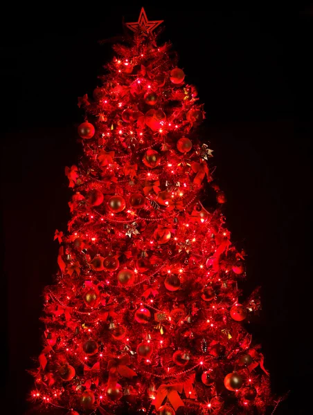 Arbre de Noël avec lumière et boule rouge . — Photo
