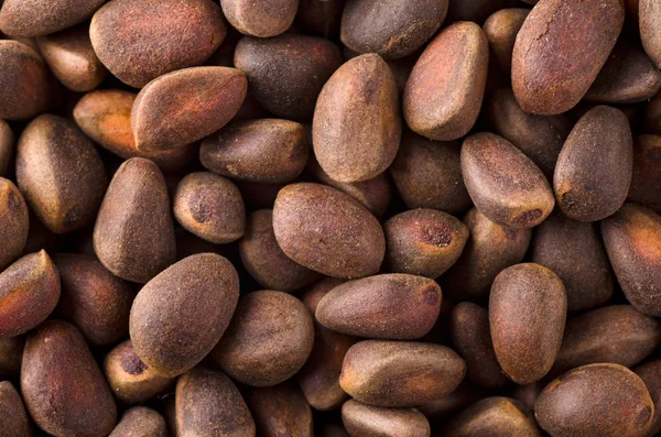 Сосновые орехи — стоковое фото