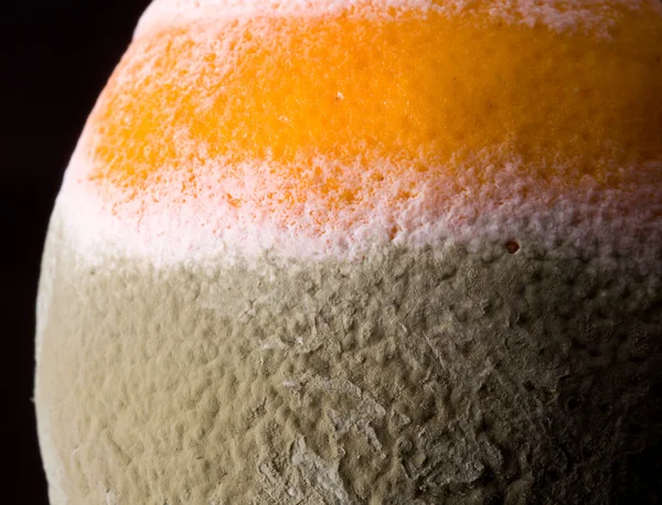 Imagem macro de laranja com molde — Fotografia de Stock