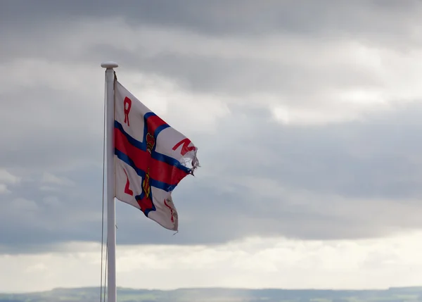 RLNI Flag on cloudy day — Stock Photo, Image