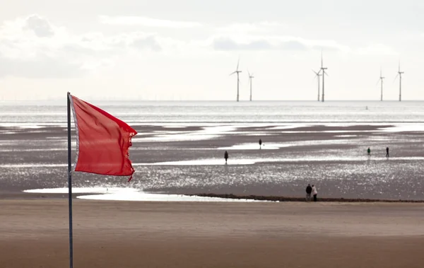 Windturbines in mersey — Stockfoto