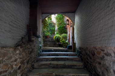 Old alley leading to garden clipart