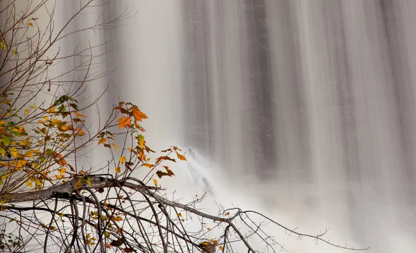 Fall leaves by waterfall — Stock Photo, Image
