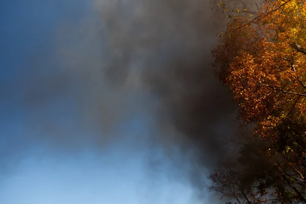 Buharlı tren havaya duman gönderir — Stok fotoğraf