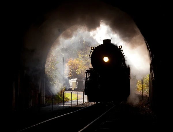 Паровой локомотив входит в тоннель — стоковое фото