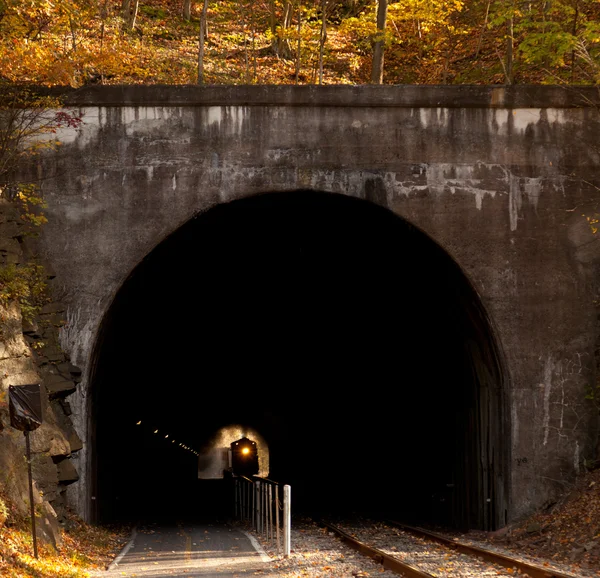 Locomotora de vapor entra en túnel — Foto de Stock