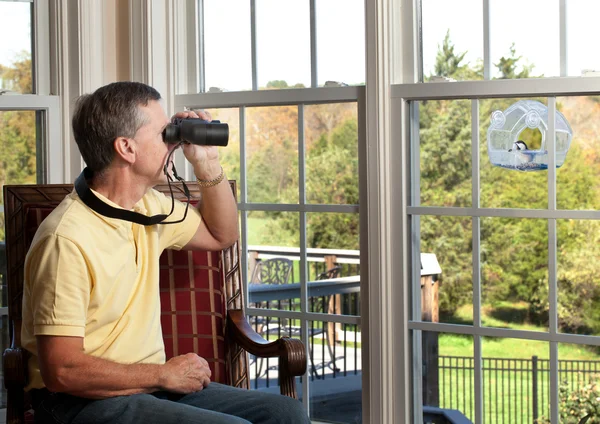 Man watching bird on feeder — Stock Photo, Image
