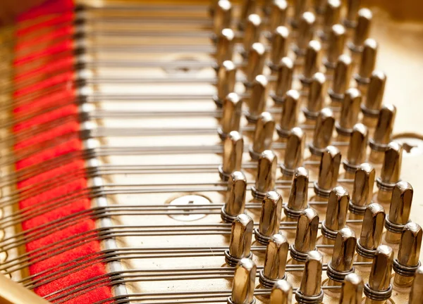 Cordes pour piano en macro — Photo