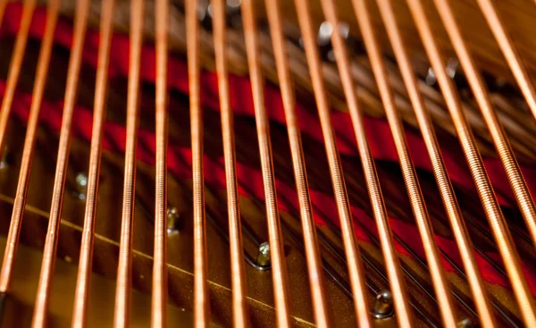 Cordes pour piano en macro — Photo