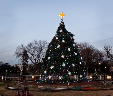 DC Ulusal Noel ağacı