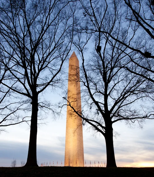 Широким кутом зору монумент Вашингтона — стокове фото
