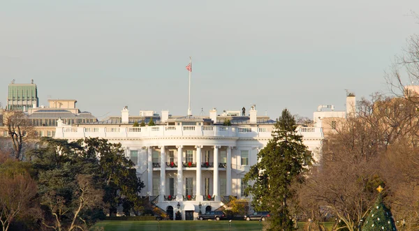White House at Christmas — Stock Photo, Image