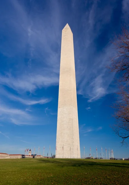 Szeroki kąt widzenia Pomnik Waszyngtona — Zdjęcie stockowe