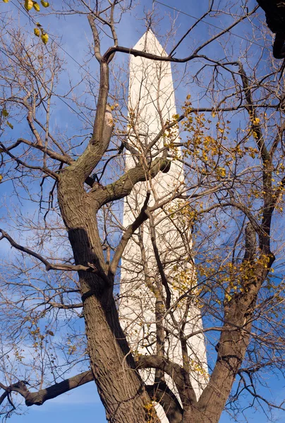 Вид на памятник Вашингтону — стоковое фото