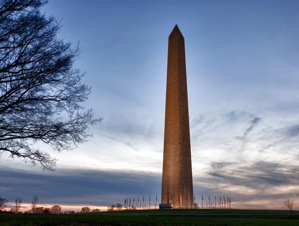 Szeroki kąt widzenia Pomnik Waszyngtona — Zdjęcie stockowe