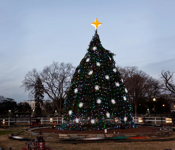 Dc で国民のクリスマス ツリー — ストック写真