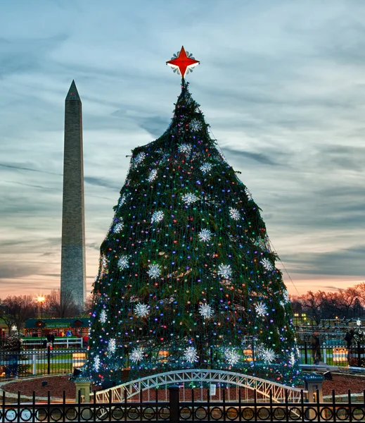 stock image National Christmas tree in DC