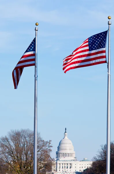 Washington Capitol — Stok fotoğraf