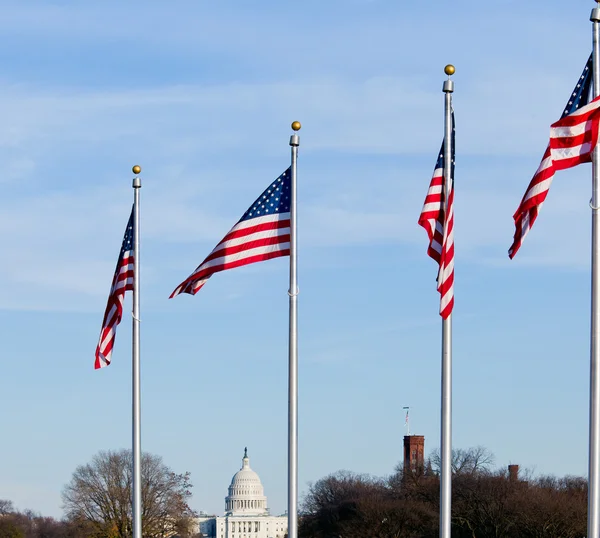 华盛顿国会大厦 免版税图库图片