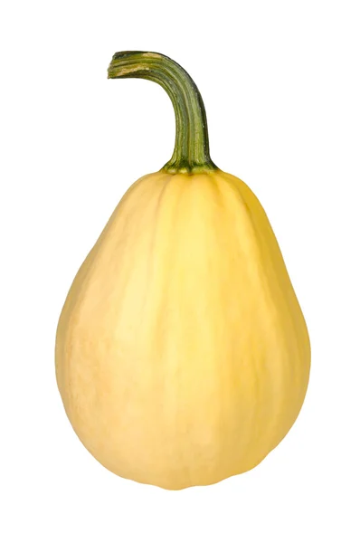 Pumpkin on a white — Stock Photo, Image