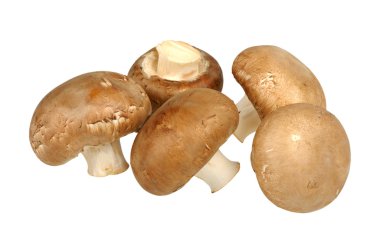 kahverengi champignon