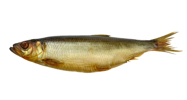 Smoked herring — Stock Photo, Image