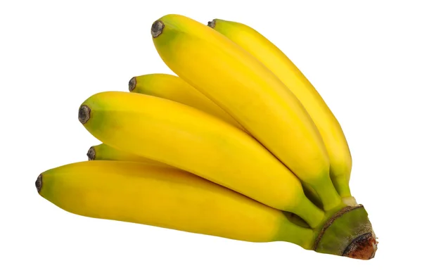 Gren av bananer — Stockfoto