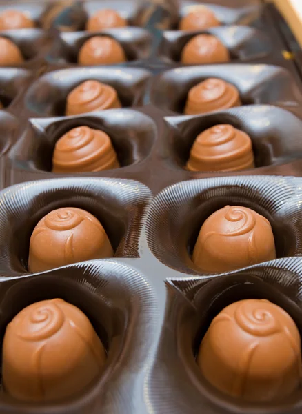 stock image Chocolate candies in a box