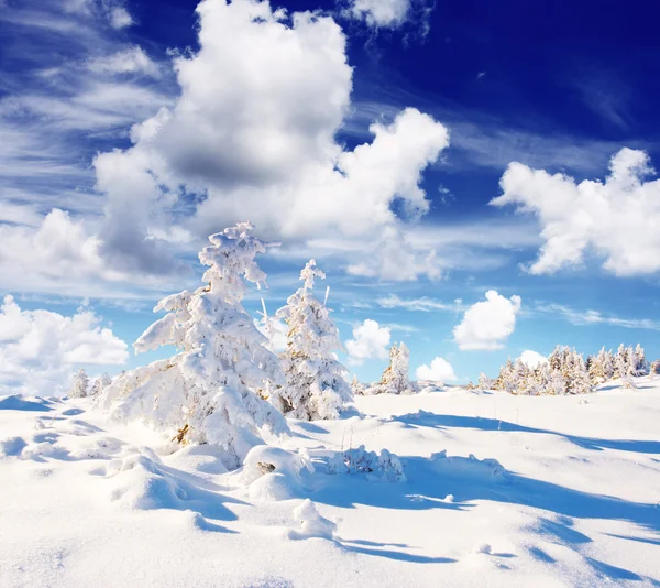 Vinterlandskap — Stockfoto
