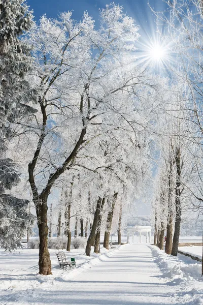 stock image Winter