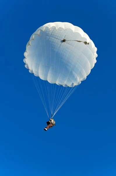 Saltador de paracaídas —  Fotos de Stock