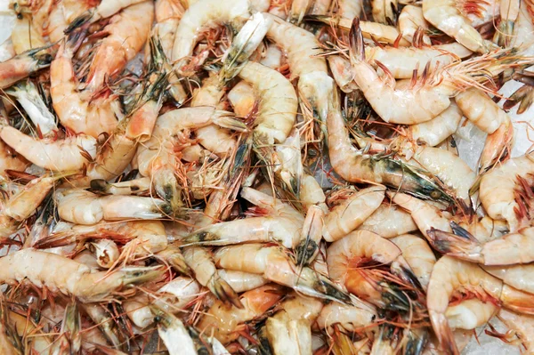 stock image Fresh frozen seafood shrimps