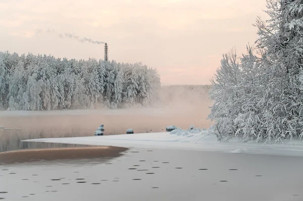 冬季森林中解冻的湖 — 图库照片
