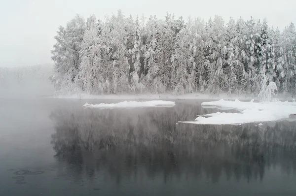Размороженное озеро в зимних лесах — стоковое фото