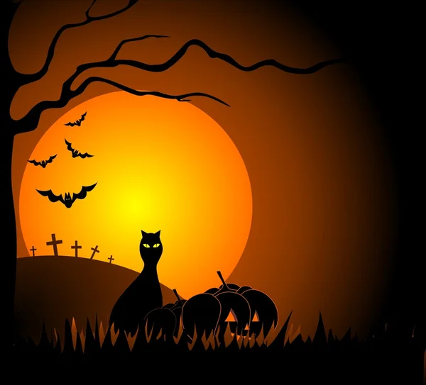 stock image Cat and halloween