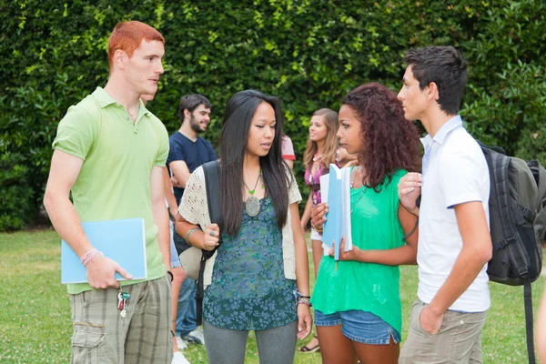 Multicultural Group of College Students — Stock Photo, Image