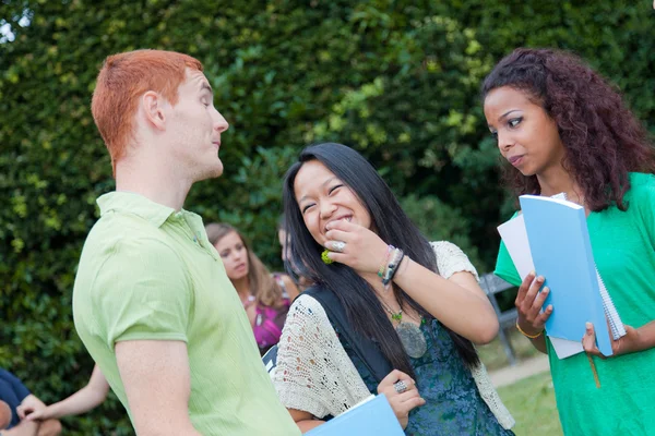 Multicultural Group of College Students — Stock Photo, Image