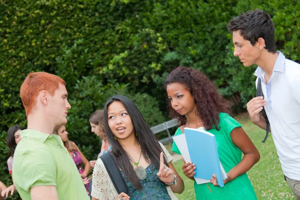 Multicultural Group of College Students Royalty Free Stock Images